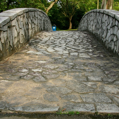 alineacion de ruedas piedralaves
